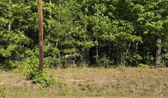 Main St and Hwy 1, Alberta, VA 23821