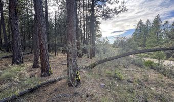 0 Partin Dr 6, Beatty, OR 97621
