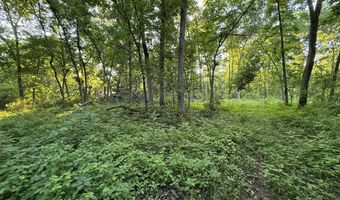 000 Jasmine Ave, Atlanta, MO 63530