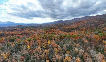 135 49ac Webb Creek Rd, Andrews, NC 28901
