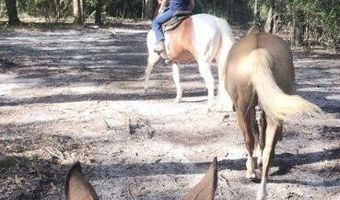 0 Peapatch Rd, Biloxi, MS 39532