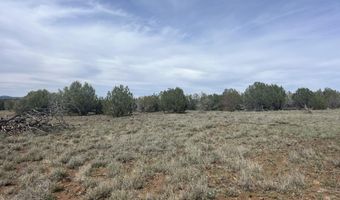 51 W Boiling Pot Rd, Ash Fork, AZ 86320
