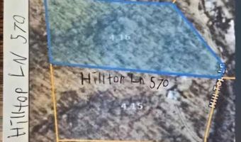 Hilltop Lane, Big Sandy, TN 38221