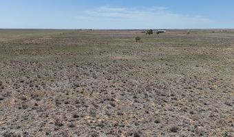 0 CR 332, Anton, TX 79313