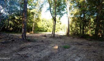 424 247 Country Rd, Bruce, MS 38915