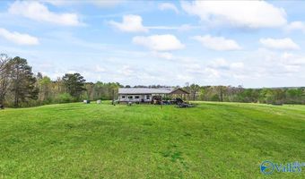 435 Sneadview Rd, Altoona, AL 35952