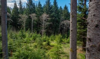 Walsh Ln, Arch Cape, OR 97102