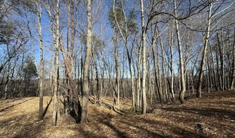N Taxiway Dr lot # 12, Albany, KY 42602