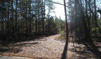 Buckhead Rd, Blair, SC 29015
