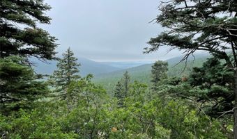 705 NM-120, Angel Fire, NM 87710
