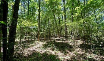 Williams Street, Brookhaven, MS 39601