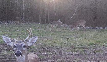 8380 Hwy 207, Anderson, AL 35610