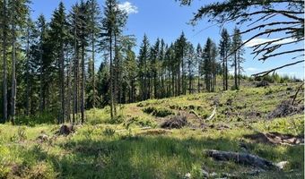 Tunnel Tract Parcel2, Banks, OR 97106