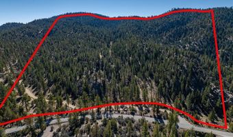 Highway 38, Angelus Oaks, CA 92305