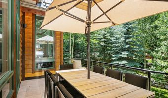 971 Ute Ave, Aspen, CO 81611