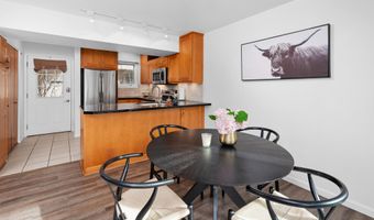 814 W Bleeker St C-1, Aspen, CO 81611