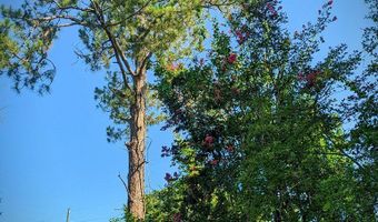 1101 Pine Knot Rd, Ashburn, GA 31714