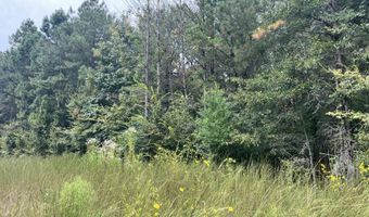 Brock Cir, Brandon, MS 39042