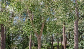 144 Yardley Ave, Baxley, GA 31513