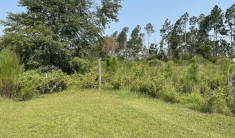 144 Red River Ln, Alma, GA 31510