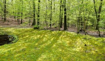 93 Vaughn Hill Rd, Bolton, MA 01740