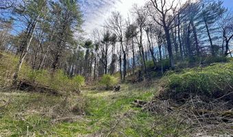 Mitchell Avenue, Bakersville, NC 28705