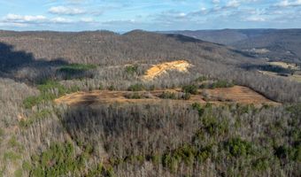 700 Acres Puncheon Creek Ln, Allred, TN 38542