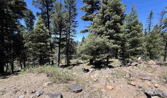 Rainbow Overlook Lot 1229RE Amended A, Angel Fire, NM 87710