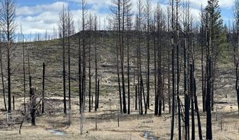 Hicks Rd, Bly, OR 97622