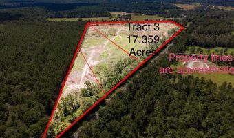 R53358 Tract 3 HWY 94, Apple Springs, TX 75926