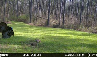 Highway 28, Abbeville, SC 29620