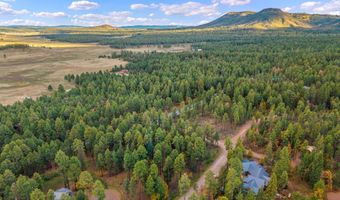 COUNTY ROAD 2196, Alpine, AZ 85920