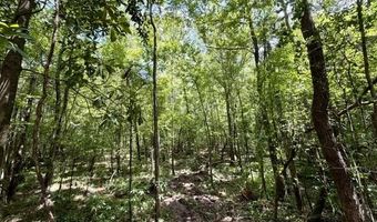 SE Lee Drive, Bogue Chitto, MS 39629