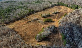 700 Acres Puncheon Creek Ln, Allred, TN 38542