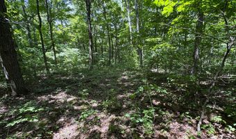 6 8 Acres Friendship South Rd, Afton, TN 37616