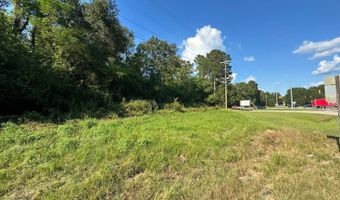 0 Hwy 51, Ariton, AL 36311