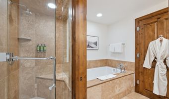 415 E Dean St Unit 37 Weeks 51 & 52, Aspen, CO 81611