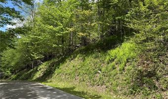 6 Wakeman Way, Banner Elk, NC 28604