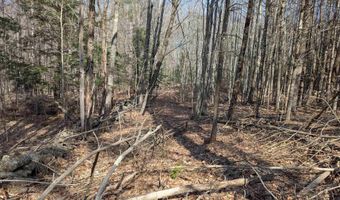 M 3 - L 15-1 & 2 Prospect Mountain Road, Alton, NH 03809
