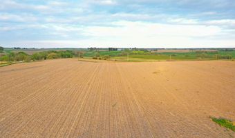Vine Avenue, Ainsworth, IA 52201