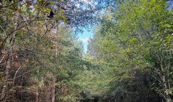 644 Ash-Harrel Loop, Abbeville, GA 31001