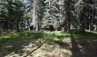 Vallecito Pl, Bayfield, CO 81122