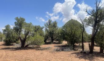 4934 Elk Trail Rd, Clay Springs, AZ 85923
