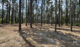 Ronald Sanks Road, Bay Minette, AL 36507