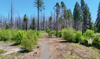 52984 MCKENZIE Hwy, Blue River, OR 97413