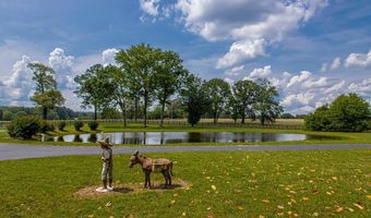 11750 Congo Ferndale Rd, Alexander, AR 72002