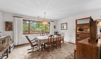 901 CR 64, Bailey, CO 80421