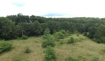 11138 State Highway O, Ava, MO 65608