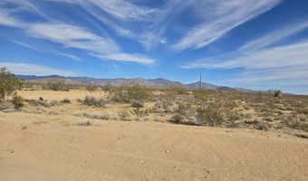 320 Acres W Brittlebush Dr, Yucca, AZ 86438