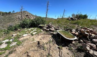 100 Canyon Gulch Rd, Bellvue, CO 80512